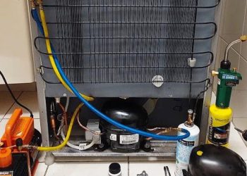 WhatsApp Image 2026-01-08 at 09.50.57